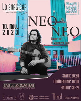 Neo & Neo Flyer